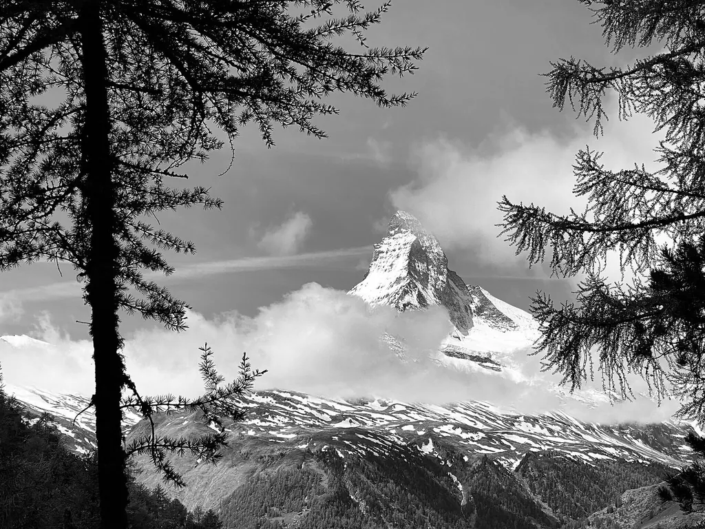 Schwarz-Weiss-Aufnahme: Das Matterhorn ragt nur mit der Spitze aus dichten Wolken, im Vordergrund dunkle Lärchen