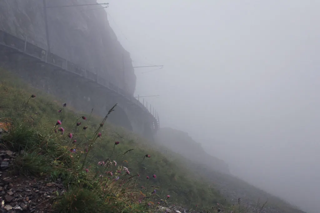 Die Trasse der Pilatusbahn verschwindet im dichten Nebel, nur das Geländer und ein paar Blumen sind zu sehen