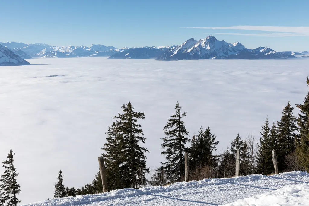 Ein geschlossenes Nebelmeer füllt das Tal bis zum Horizont, darüber Sonne, Schnee am Hang und die Gipfel der Alpen