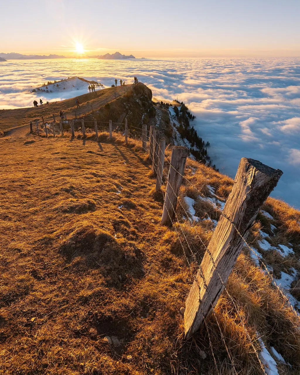 The Rigi ridge in evening light rises out of a closed sea of fog, the Alps on the horizon
